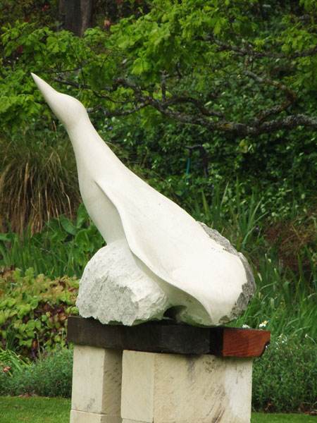 Gannet